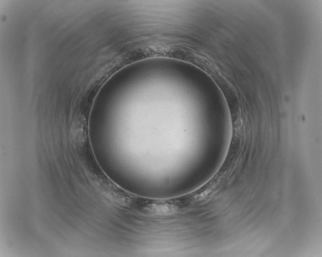 X0000076300464200609291040