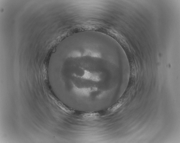 X0000076300465200609291040