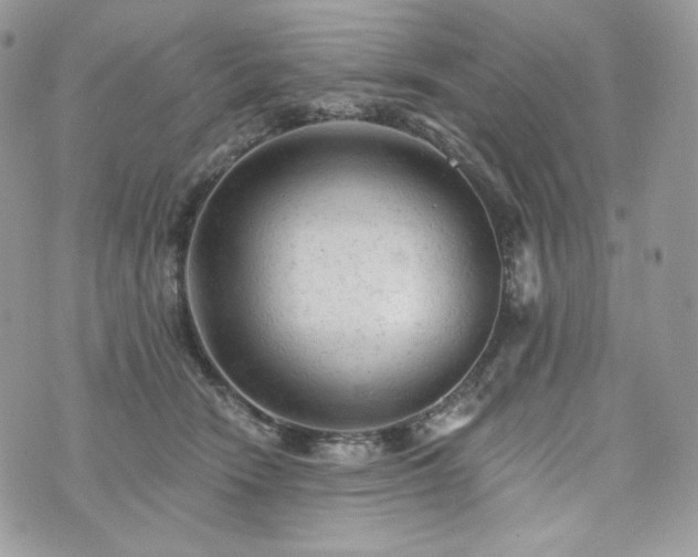 X0000076300466200609291040