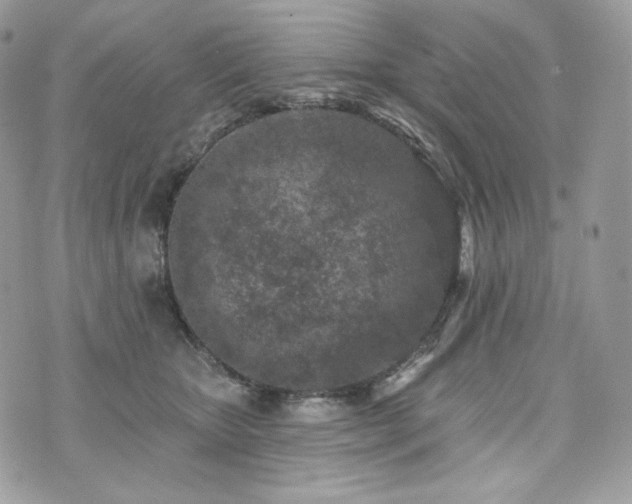 X0000076300467200609291040