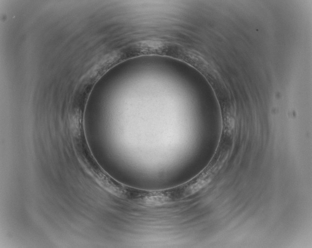 X0000076300468200609291040