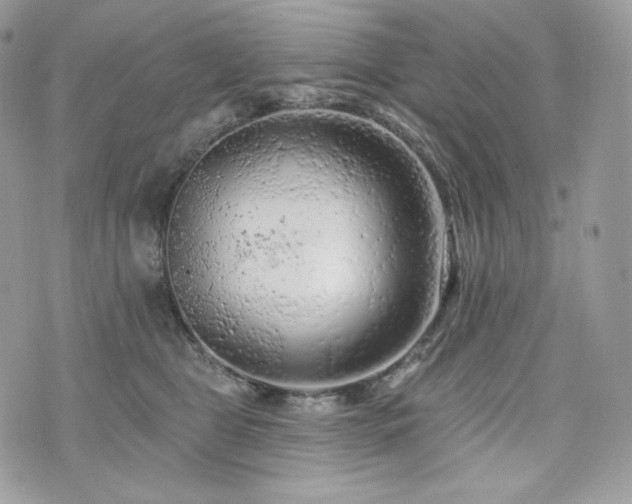 X0000076300469200609291040