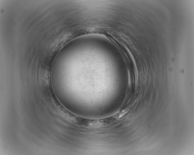 X0000076300470200609291040