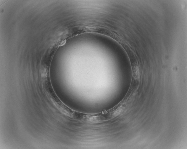 X0000076300472200609291040