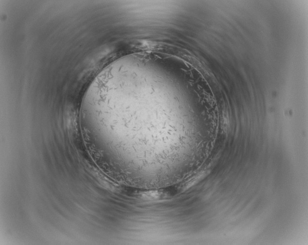 X0000076300473200609291040