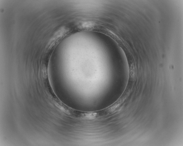 X0000076300474200609291040