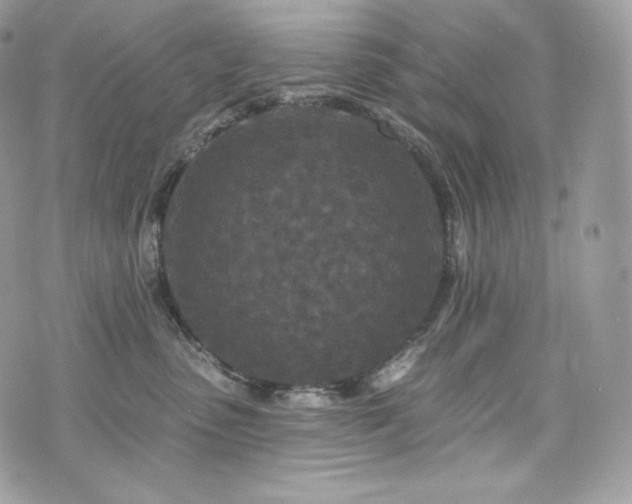 X0000076300475200609291040