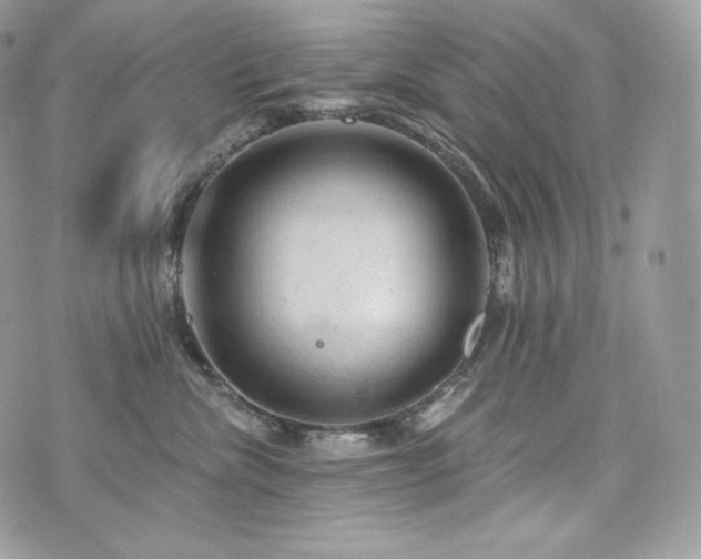 X0000076300476200609291040