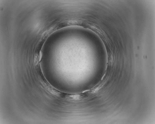 X0000076300478200609291040