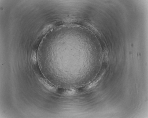 X0000076300479200609291040