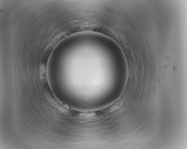 X0000076300480200609291040