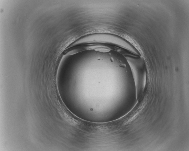 X0000076300481200609291039