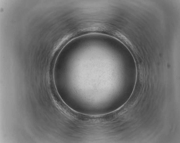 X0000076300482200609291039