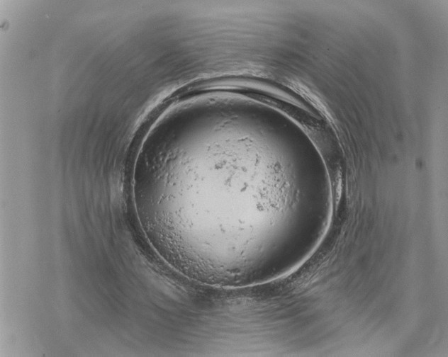 X0000076300483200609291039