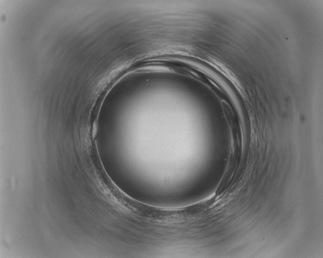 X0000076300485200609291039