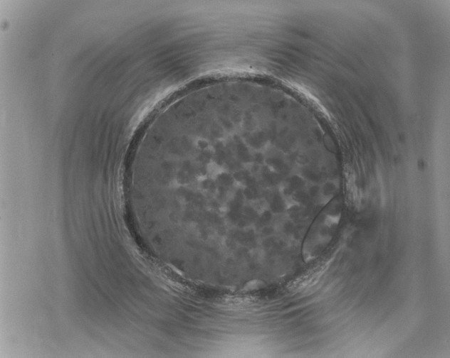 X0000076300487200609291039