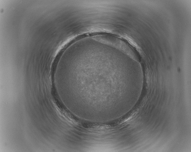 X0000076300488200609291039