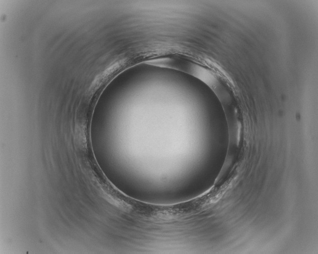 X0000076300489200609291039