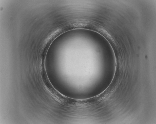 X0000076300490200609291039