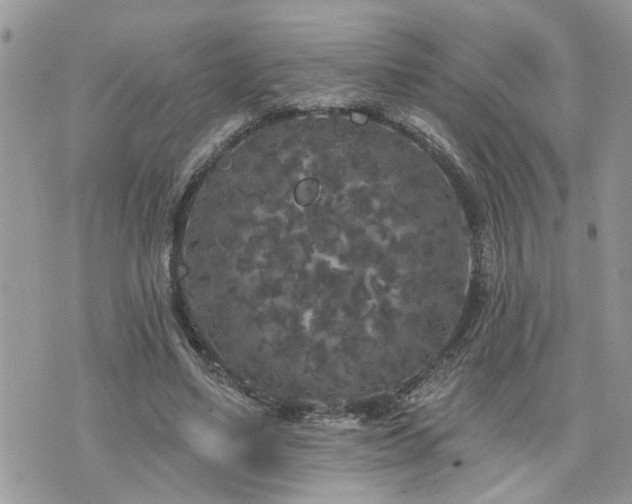 X0000076300491200609291039