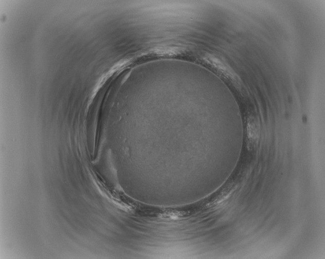 X0000076300492200609291039