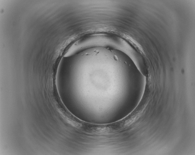 X0000076300493200609291039