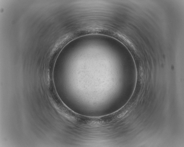 X0000076300494200609291039