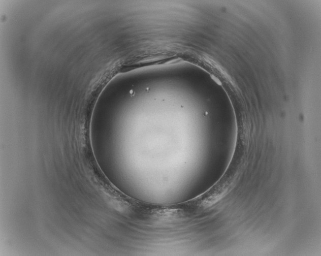 X0000076300497200609291039