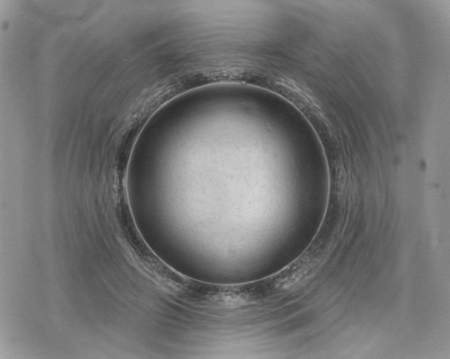 X0000076300498200609291039