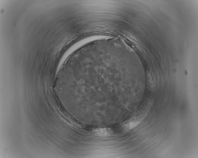 X0000076300499200609291039