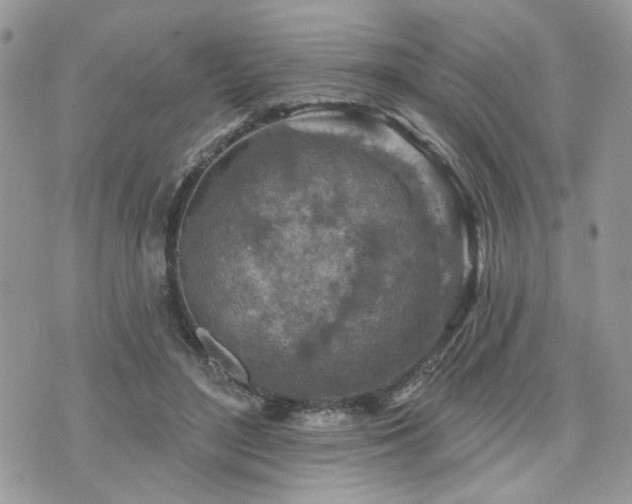 X0000076300500200609291039