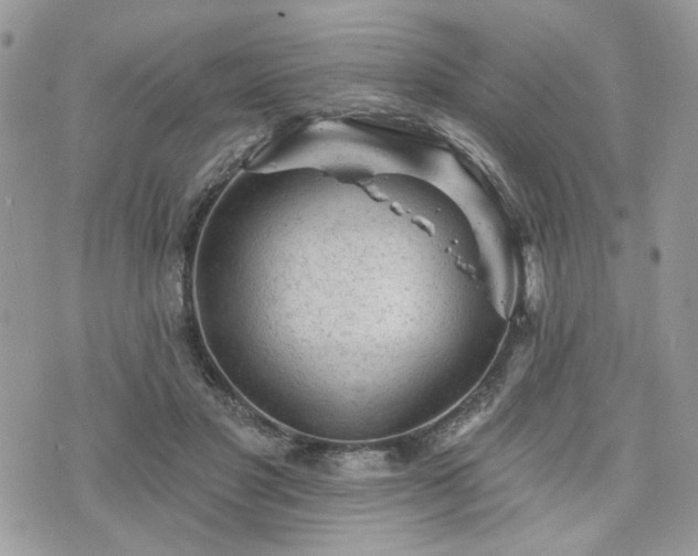 X0000076300501200609291039