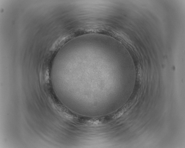 X0000076300502200609291039