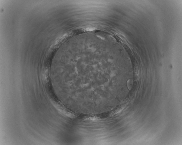 X0000076300503200609291039