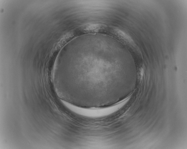 X0000076300504200609291039