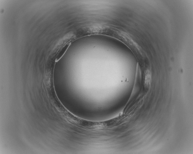 X0000076300505200609291039