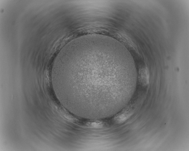 X0000076300506200609291039