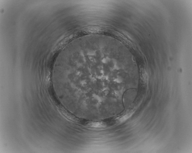 X0000076300507200609291039