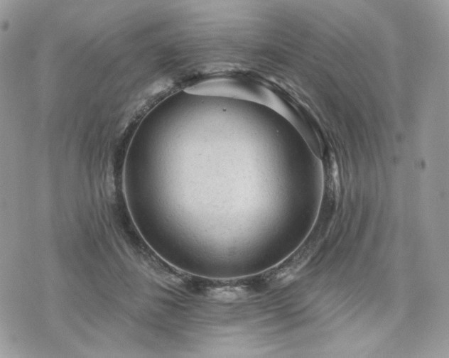 X0000076300508200609291039