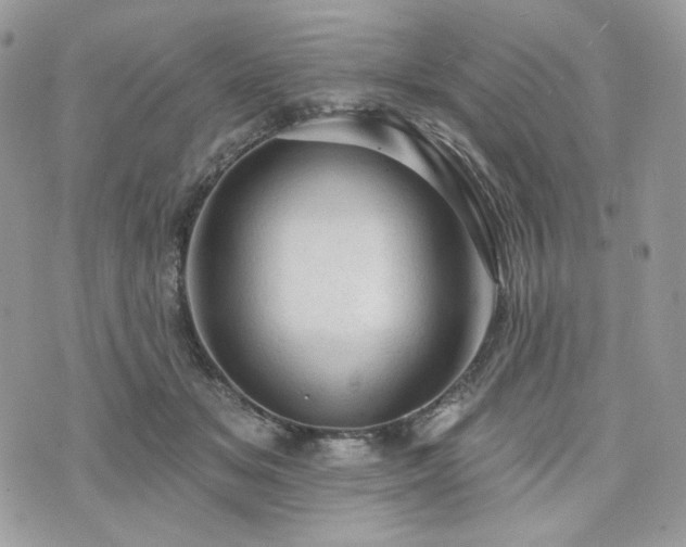 X0000076300509200609291039