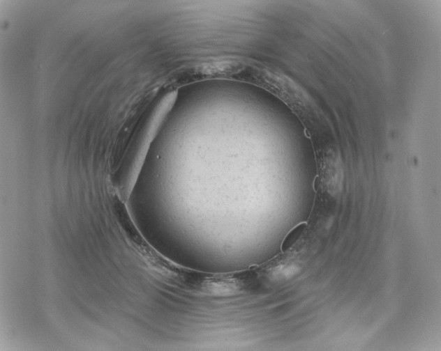 X0000076300510200609291039