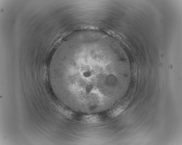 X0000076300511200609291039