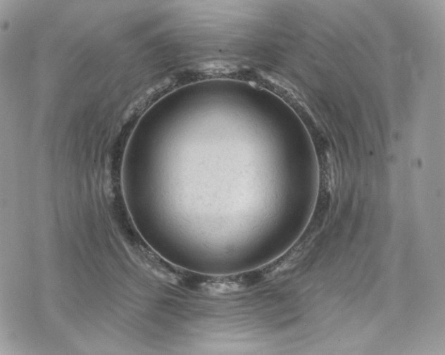 X0000076300512200609291039