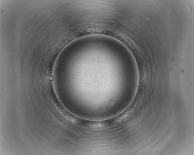 X0000076300513200609291039