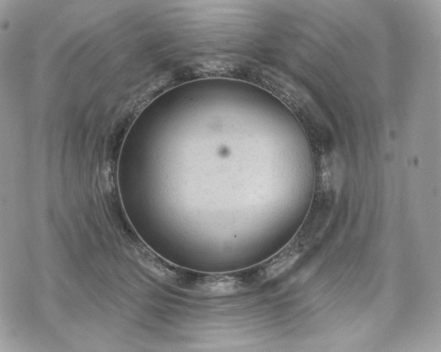 X0000076300514200609291039