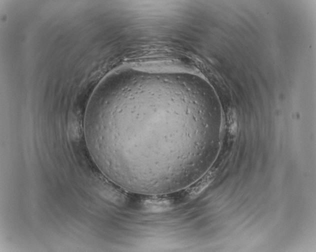 X0000076300515200609291039