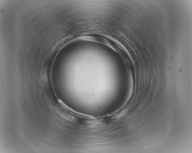 X0000076300516200609291039