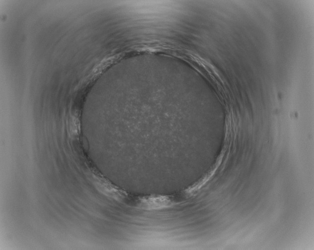 X0000076300517200609291039