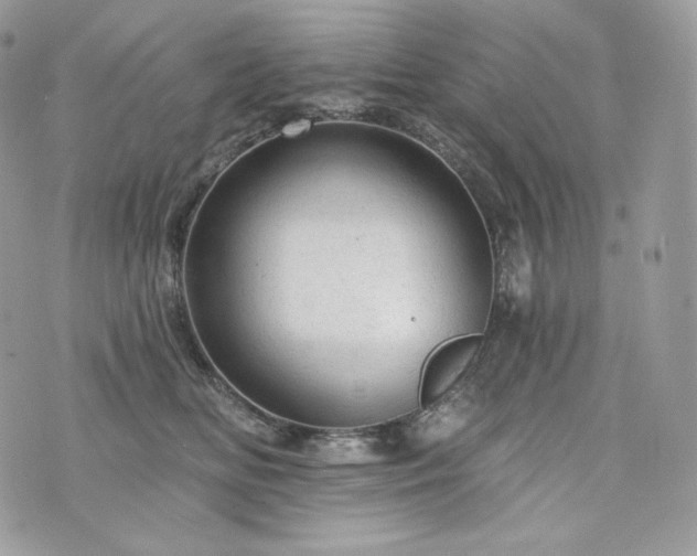 X0000076300518200609291039