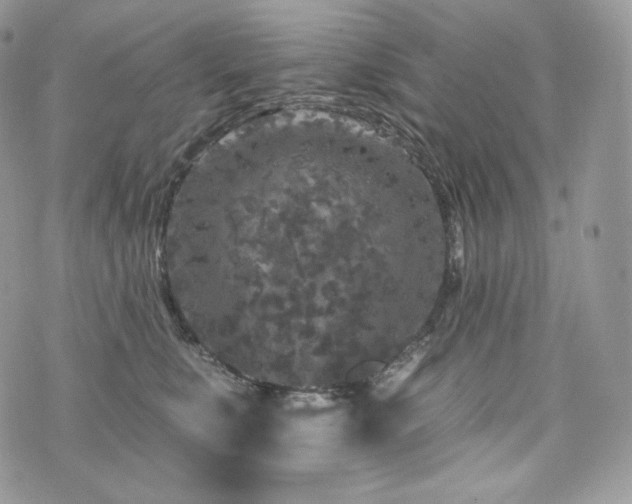 X0000076300519200609291039